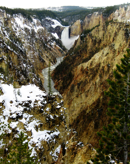 jordanlofthouse:

Snowy Spring day at the Grand Canyon of the Yellowstone, Yellowstone National Park, Wyoming
