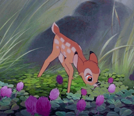 Resultado de imagem para bambi gif kawaii