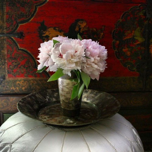 #peony #peonies #vignette #moroccan #moroccanpouf #tibetanchest #lassicup #decor #decoration #love #instagood #me #tbt #cute #photooftheday #instamod #iphonesia #picoftheday #igers #tweegram #beautiful #instadaily #instagramhub #follow #iphoneonly #igdaily #bestofthedayy