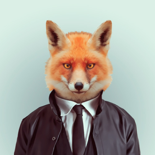FOX by Yago Partal for ZOO PORTRAITS