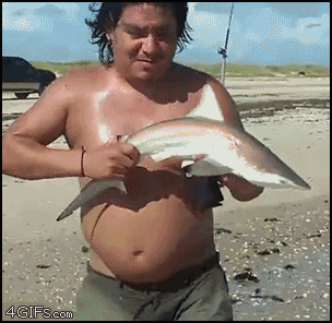 baby shark escaping form angler's hands