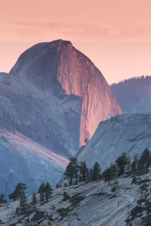ternpest:

(via 500px / Yosemite by Trevor Jacobs)

