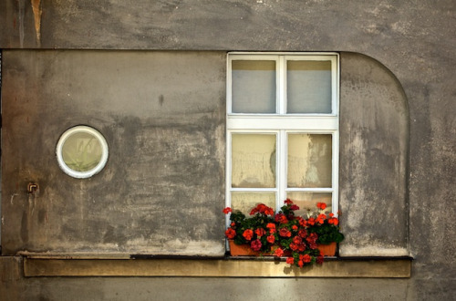 Beautiful window in Prague, Czech Republic