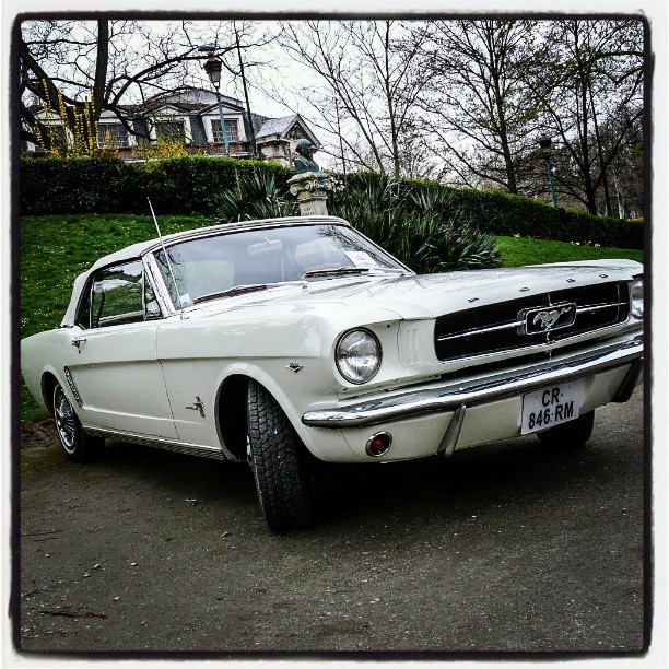 Une Ford Mustang #ford #mustang #voitures #car #goodmorning #tagsforlikes #igersfrance #igerstoulouse