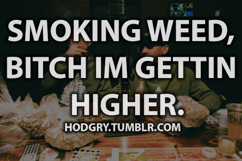 higher swag quote mellowhype oddfuture  smoke getting higher