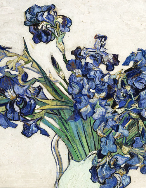 blurrymelancholy:

Vincent van Gogh, Irises, 1890 (detail)
