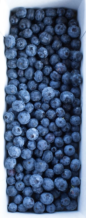 peachnaked:

because blueberries:
