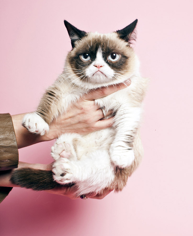 scottrking:

Grumpy cat gets a professional photo shoot at Time.
