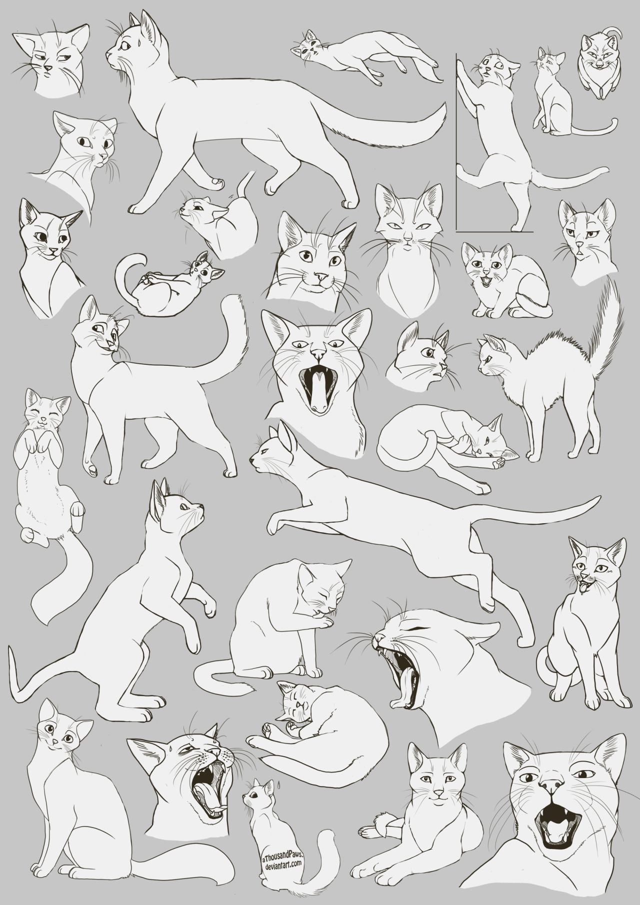 Kitty Cat Drawing Art Cats Draw Kitten House Kitteh Feline Paws Kittens Felines Anatomy Reference Tutorial Domestic References Domesticated Fucktonofanatomyreferences Find gifs with the latest and newest hashtags! rebloggy