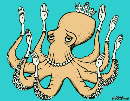 octopus animals gif