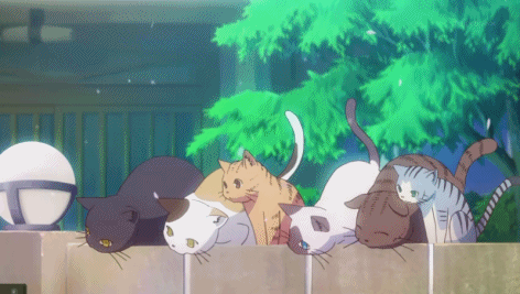 cute cats anime gif