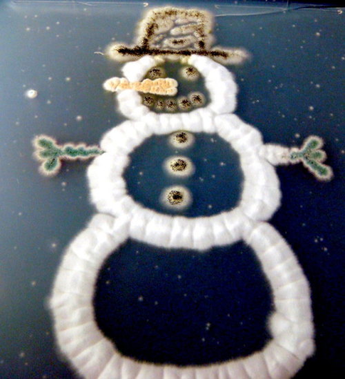 This awesome little snowman made of fungi was grown in a petri dish by the same playful scientists at the J. Craig Venter Institute in Rockville, Maryland who grew the colourful fungal Christmas trees we posted about recently.
[via Geekologie]
