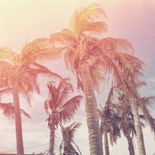 Trees on We Heart It<br /><br /><br /><br /> http://weheartit.com/entry/99486100/via/reececooper