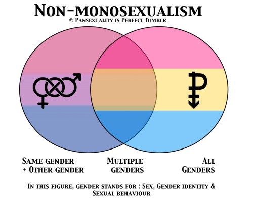Bisexuality or Pansexuality; that is the question..