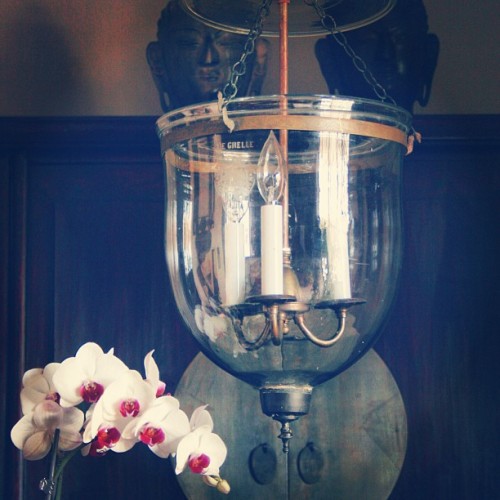 #antique #hundilantern #lamp #belgium #belljarlantern #light #lighting #homedecor #interior #interiordecor  #orchid #buddha #chinesecabinet  #ceilinglamp
