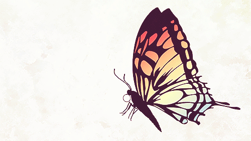 sam2119931:

Butterfly Flying.
