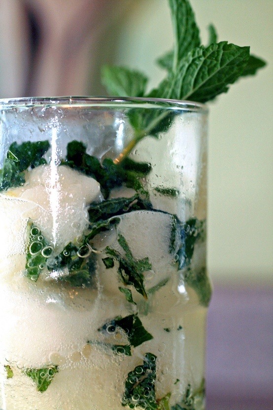 drbucketlist:

#49. drink this: champagne cocktail with mint and lemon sorbet
