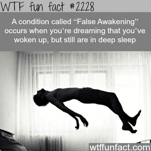 False Awakening - WTF fun facts