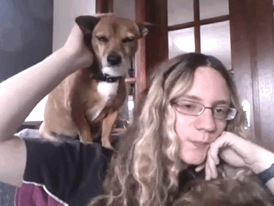 Dog strokes human - YouTube