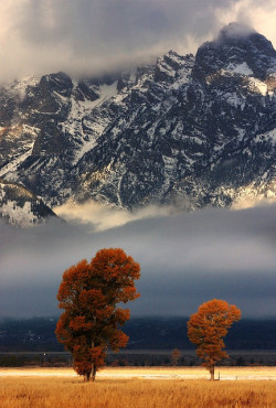 dranilj1:
Fall in Tetons by daman sidhu on Flickr.