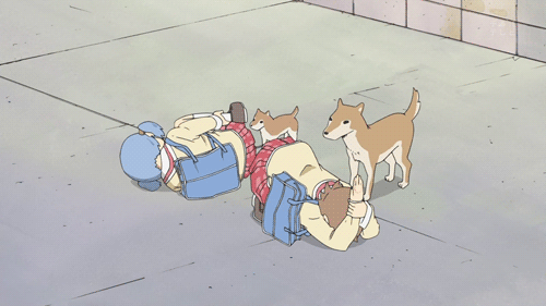 gif anime shiba inu nichijou dogs patting things