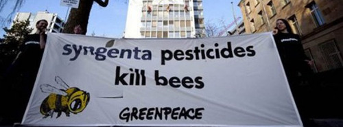 Toca Comer. Otro caso más de la ignorancia de Greenpeace. Marisol Collazos Soto, Rafael Barzanallana