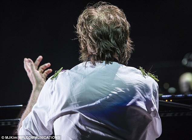 (via Paul McCartney’s stage is invaded by insects during Brazilian show | Mail Online)