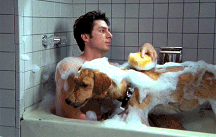 man in a bath cleaning his dog with a sponge