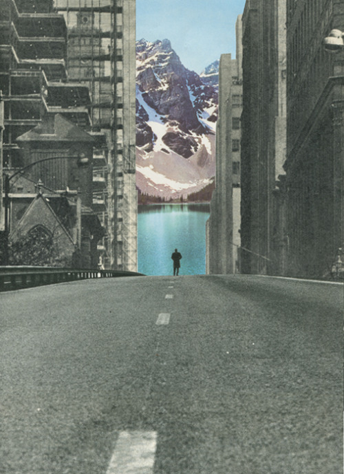 ' Into the wild ' Collage on paper  Sammy Slabbinck 2013