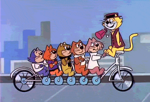 Image result for top cat gifs