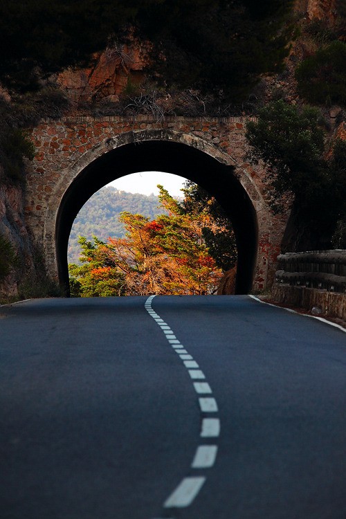 wonderous-world:

Road in August by Sam Dobson
