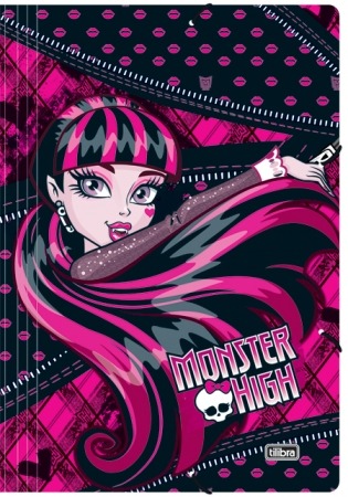 Monster High notebooks