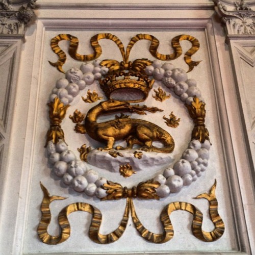La Salamandre, emblème de roi François Ier (à Chateau De Chenonceau)