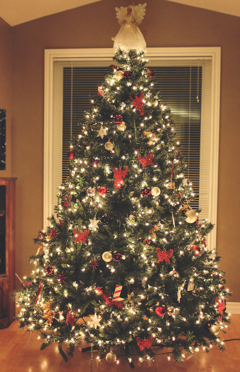 Christmas Christmas tree lights tree holidays ornaments tleblanc ...