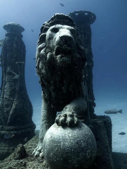 221cbakerstreet:thatferrybroad:wliabl:Cleopatra’s Underwater Palace, Egypt I still don’t get why no one is LOSING THEIR FUCKING SHIT OVER THIS FINDiT SURVIVED THE EARTHQUAKE THAT LEVELED THE REST OF THE CITY IN 365 A.D. CLEOPATRA’S FUCKING PALACEWITH INTACT FUCKING STATUARYNOT TO MENTION THE REST OF THE FUCKING ENTIRE GODDAMN ISLAND OF ANTIRRHODOS INCLUDING THE ANCIENT PORT OF ALEXANDRIAAND THEY’RE GONNA BUILD A MOTHERFUCKING UNDERWATER MUSEUMUNDERWATER. MUSEUM.can I be a mermaid tour guide there or some shit, you don’t even have to pay me i will just live there forever oh my fucking godthat’s really exciting