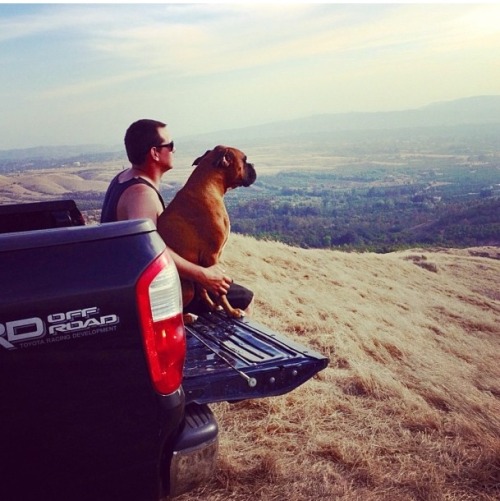 (Submitted by Nicole)  Tailgate down and a beautiful sunset with mans best friend