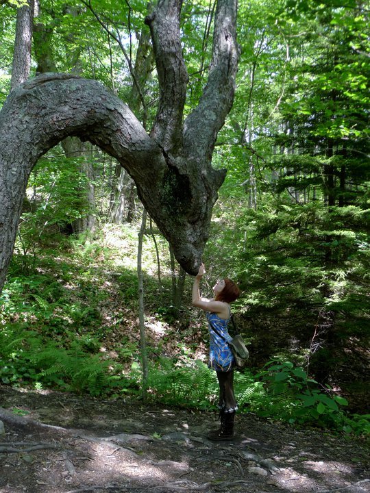xelethaine:

mori-girl-life:

Saying Hello to the Dragon.

That is a fucking forest spirit and nobody will make me believe otherwise.
