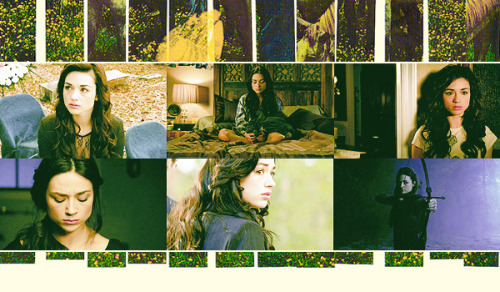  There&#8217;s no such thing as fate.Favorites of 2012 » 5 Favorite Characters of 2012&#160;» Allison Argent (Teen Wolf) 