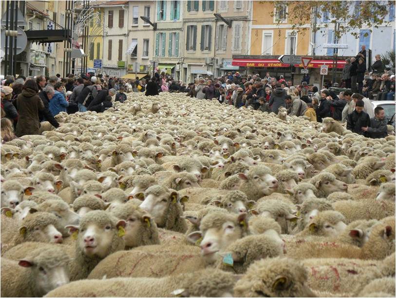 数千頭の動物が街を練り歩く、フランスマルセイユ
