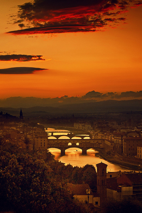 Four Bridges of Florence(by Yuliya Bahr)