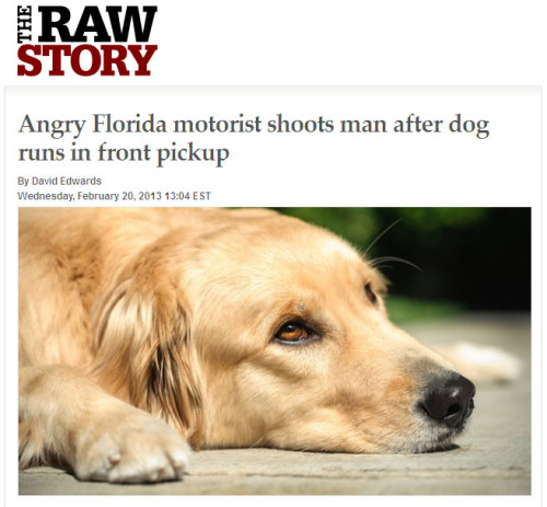 Raw Story - 'Angry Florida motorist shoots man after dog runs in front pickup'
