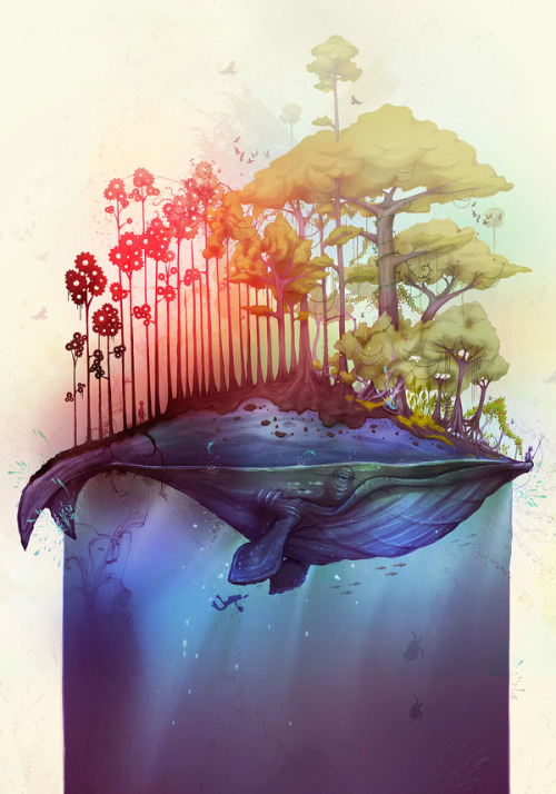 Whale Island by Thiago Neumann