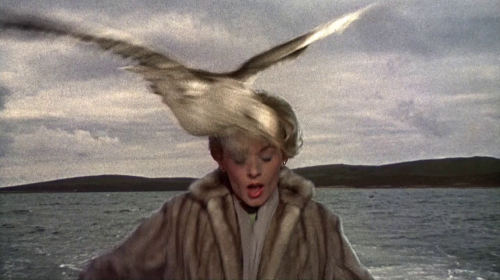 Tippie Hedren in The Birds (1963, dir. Alfred HItchcock).
(Via)