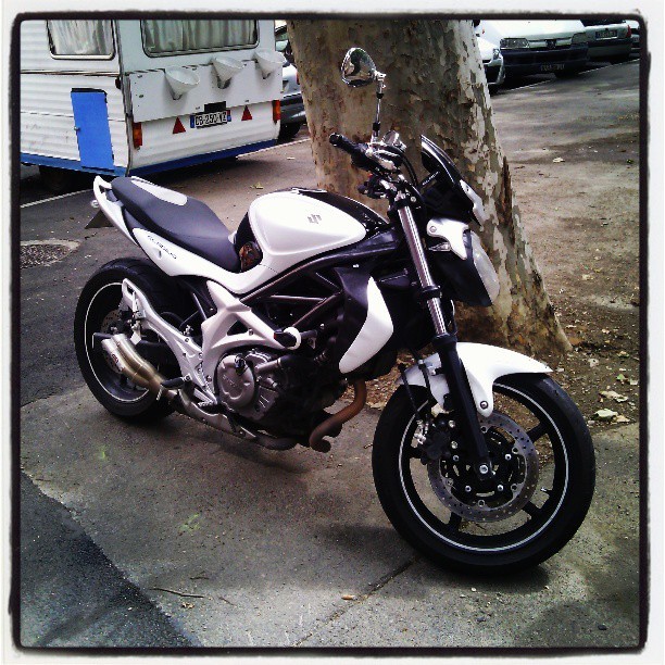 Suzuki Gladius #Suzuki #gladius #motorcycles #moto #instagood #igerstoulouse #igersfrance