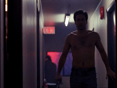 david duchovny i made this gif