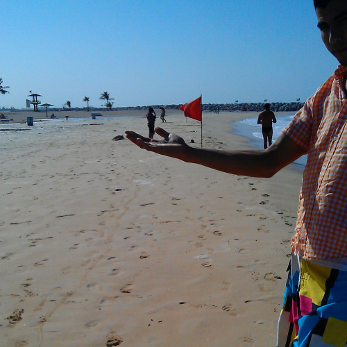 salam internet!i&#8217;m sure you know that after a certain amount of time it becomes necessary to expand your business. that’s why hafid starts to steal tiny people from the beach. he cuddles and feeds them until it’s time to set them free to the dunes, stealing their own smartphone one day.just kidding. it’s not really a tiny person.