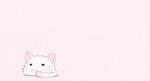 animated cat animated gif | WiffleGif