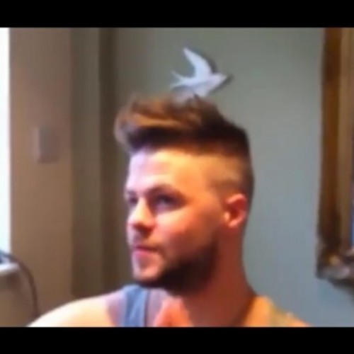 marinasmcguiness:

twjaythanstuff:

So this is Bird’s new hair… Can we just take a moment to appreciate how fucking sexy he looks… 

Just saying, he looks like Luke…