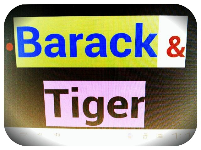 2/18/13 OBAMA GOES GOLFING w/ TIGER WOODS,*read more at http://www.breitbart.com/Breitbart-Sports/2013/02/17/Obama-Golfs-With-Tiger “…Golf Digest writer Tim Rosaforte reported that Woods holed out from a bunker on the first hole against Obama for a birdie. This is the first time Woods and Obama have ever played golf together…”
http://www.breitbart.com/Breitbart-Sports/2013/02/17/Obama-Golfs-With-Tiger

“But God demonstrates his own love for us in this: While we were still sinners, Christ died for us…”Romans 5:8 “Cast all your anxiety on God because He cares for you.”1 Peter 5:7

Posted by VanderKOK
*ProtectUnbornLife
*Fight4Kindness
*Pray4Chapels in the PublicSchools
www.KeepTheFaithbyVanderKok.blogspot.com
Www.vanderkok.onsugar.com
Www.vanderkok.tumblr.com
www.Twitter.com/StanTheBigMan
*Listen to God @
www.HearingtheWord.posterous.com
*Stop Violence v Women!
See www.OneBillionRising.org
*Stop Google/YouTube from Controlling Us