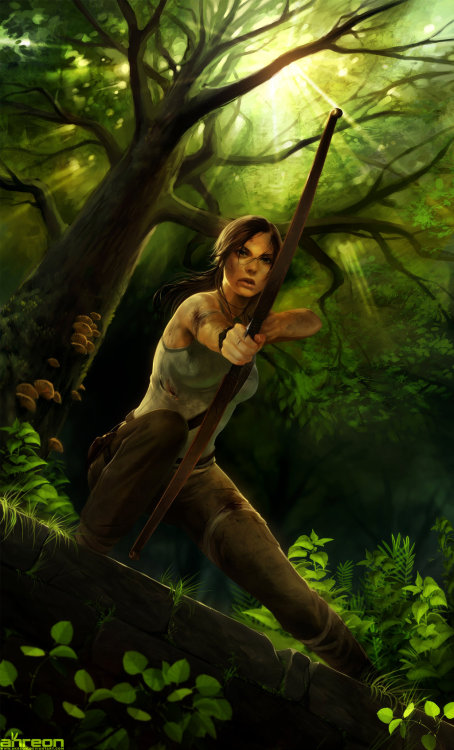 Tomb Raider by *akreon.